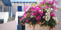 Eugenia studios